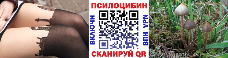 Псилоцибиновые грибы прущие грибы  Первомайск 